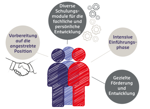 Grafik: Vorteile im Traineeprogramm - Gezielte Förderung und Entwicklung, intensive Einfphrungsphase, Vorbereitung auf die angestrebte Position, diverse Schulungsmodule